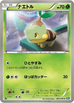 ナエトル