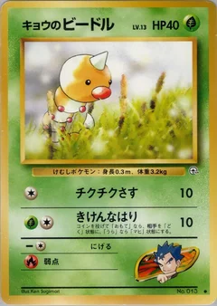 コガの雑草