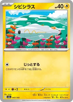 シビシラス