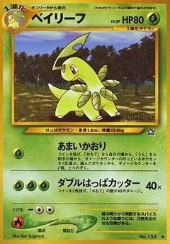 ベイリーフ
