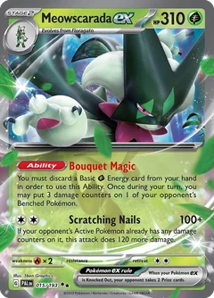 Maskagato ex
