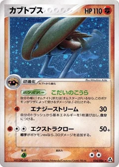 カブトップス