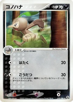 ヌズリーフ