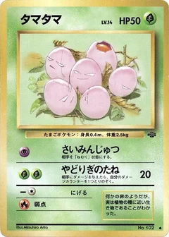 タマタマ