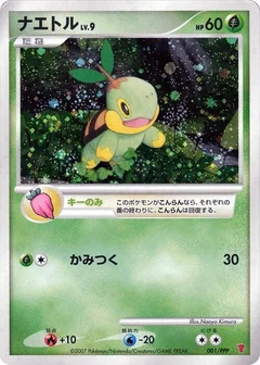 Turtwig