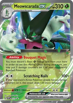 Maskagato ex
