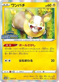 Yamper - 244/S-P
