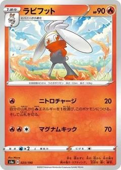 ラビフット