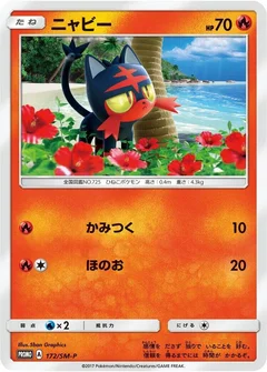 Litten - 172/SM-P