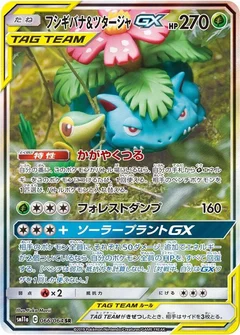 Venusaur & Snivy GX