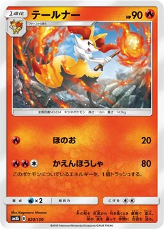 テールナー
