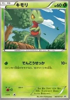 Treecko - 107/XY-P