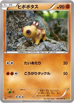 ヒポポタス
