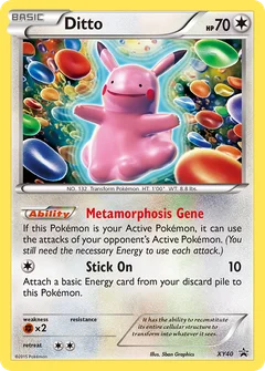 Métamorph