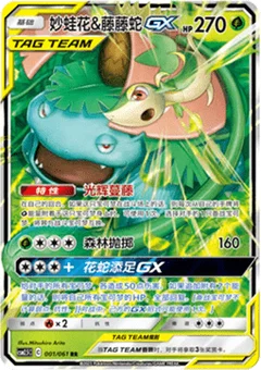 Venusaur & Snivy GX