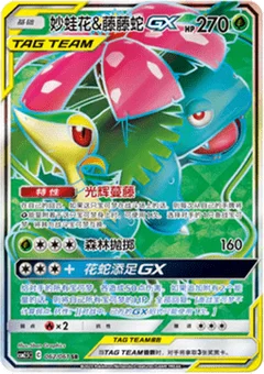 Venusaur & Snivy GX